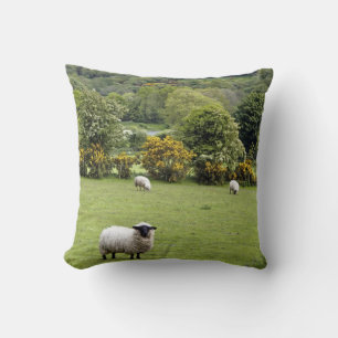 Westirland, Dingle-Halbinsel Kissen