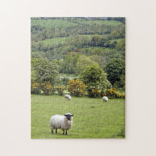 Westirland, Dingle-Halbinsel Puzzle