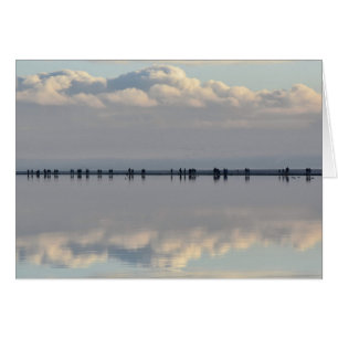 WestKirby Jachthafen