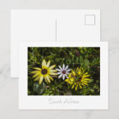 Westküste Aurora Wilde Blume Südafrika SA Postkarte (Vorne/Hinten)