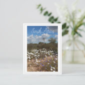 Westküste Südafrika Wilde Blume Postkarte (Stehend Vorderseite)