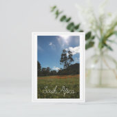 Westküste Südafrika Wilde Blume Postkarte (Stehend Vorderseite)