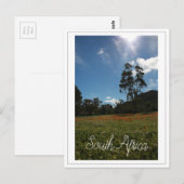 Westküste Südafrika Wilde Blume Postkarte (Vorne/Hinten)