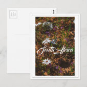 Westküste Südafrika Wilde Blume Postkarte (Vorne/Hinten)