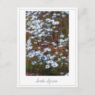 Westküste Südafrika Wilde Blume Postkarte