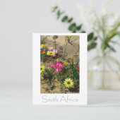 Westküste Südafrika Wilde Blume Postkarte (Stehend Vorderseite)