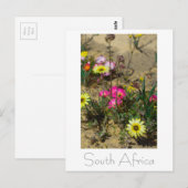 Westküste Südafrika Wilde Blume Postkarte (Vorne/Hinten)