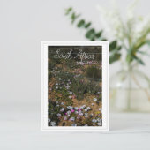 Westküste Südafrika Wilde Blume Postkarte (Stehend Vorderseite)