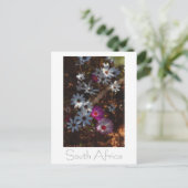 Westküste Südafrika Wilde Blume Postkarte (Stehend Vorderseite)