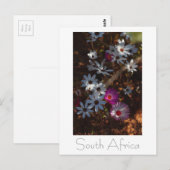 Westküste Südafrika Wilde Blume Postkarte (Vorne/Hinten)