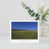 Westküste Wilde Blume Südafrika SA Postkarte (Stehend Vorderseite)