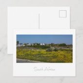Westküste Wilde Blume Südafrika SA Postkarte (Vorne/Hinten)