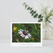 Westküste Wilde Blume Südafrika SA Postkarte (Stehend Vorderseite)