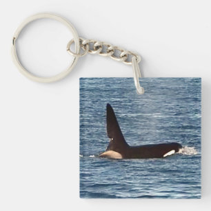 Westküsten-Schwertwal "John Coe" Orca Schlüsselanhänger
