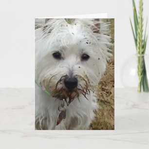 WESTLANDTERRIER-LIEBE FEIERTAGSKARTE
