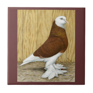 Westlich des England-Trommel-Rot-Kahlkopfs Fliese