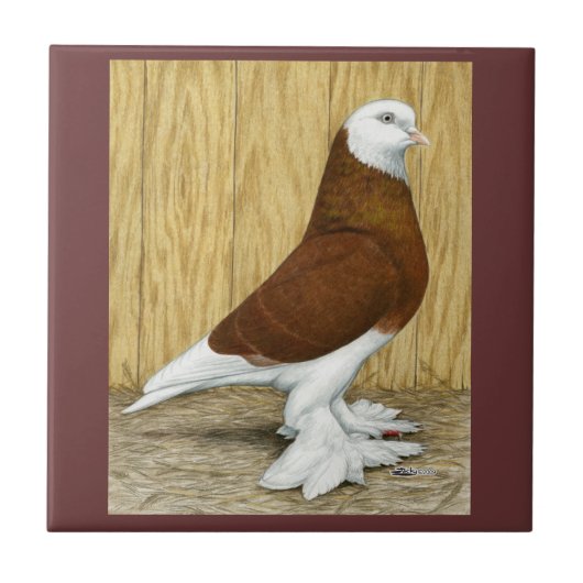 Westlich des England-Trommel-Rot-Kahlkopfs Fliese (Vorderseite)