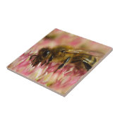 Westliche Honigbiene Makro Fliese (Seite)