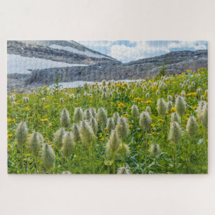 Westliche Küchenschelle East Kootenay Mountains Puzzle