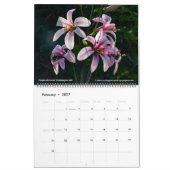 Westliche Wildblumen 2026 Kalender (Feb 2027)