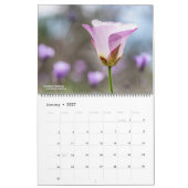 Westliche Wildblumen 2026 Kalender (Jan 2027)