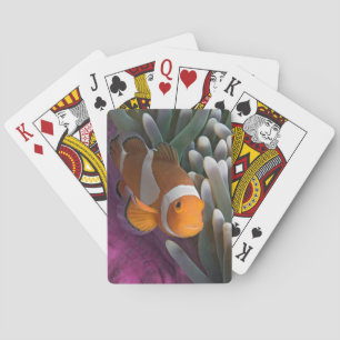 Westlicher Clown-Anemonenfisch Spielkarten