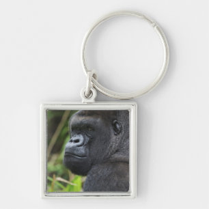 Westlicher Flachlandgorilla, Gefangener Gorilla Schlüsselanhänger