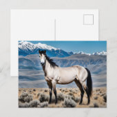 Westlicher Mustang-Geist Postkarte (Vorne/Hinten)