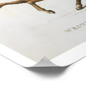 Westminster Cavalry Volunteer, Platte 4 von "Loyal Poster (Ecke)