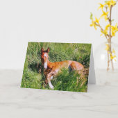 Weston napping karte (Gelbe Blume)