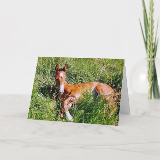 Weston napping karte (Vorderseite)