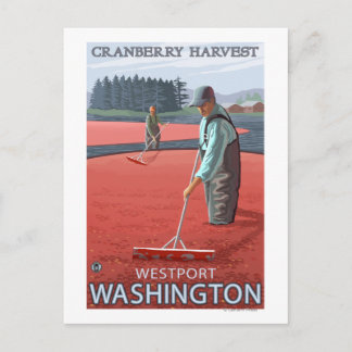 Westport, Washington Cranberry Bog Harvest Postkarte