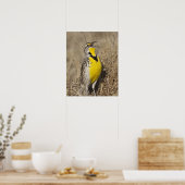 Westschnäpper-Lerchenstärling (Sturnella neglecta) Poster (Küche)