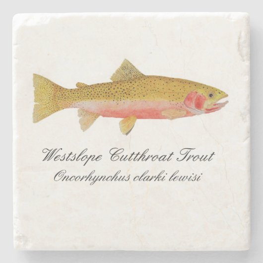 Westslope Cutthroat-Forelle-Untersetzer Steinuntersetzer (Vorderseite)
