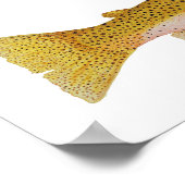 Westslope Cutthroat Trout Wasserfarbe Poster (Ecke)
