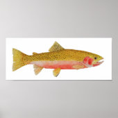 Westslope Cutthroat Trout Wasserfarbe Poster (Vorne)
