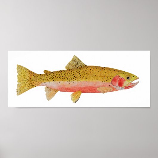 Westslope Cutthroat Trout Wasserfarbe Poster (Vorne)