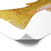 Westslope Cutthroat Trout Wasserfarbe Poster (Ecke)