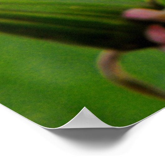 Wet Dandelion Poster (Ecke)