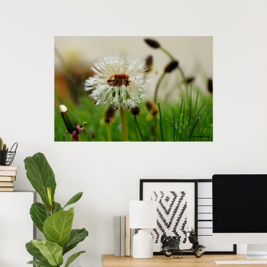 Wet Dandelion Poster (Heimbüro)
