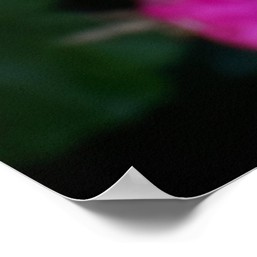 Wet Floral Poster (Ecke)