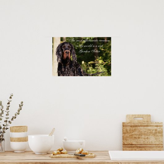 Wet Gordon Setter Poster (Küche)