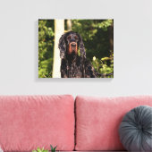 Wet Gordon Setter Wrapped Canvas Leinwanddruck (Insitu (Wohnzimmer))