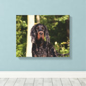 Wet Gordon Setter Wrapped Canvas Leinwanddruck (Insitu (Holzboden))