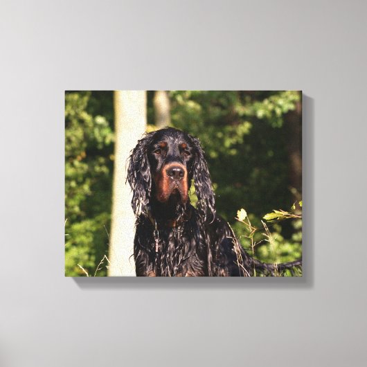 Wet Gordon Setter Wrapped Canvas Leinwanddruck (Vorderseite)