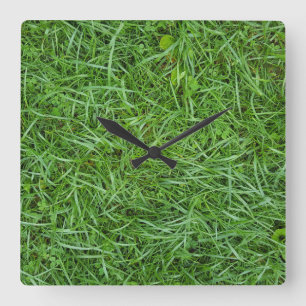 wet green grass quadratische wanduhr