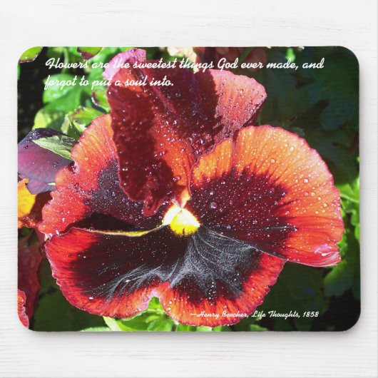 Wet Pansy mit Henry Beecher Zitat Mousepad (Vorne)