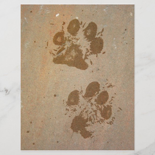 Wet Paw Prints (Vorderseite)