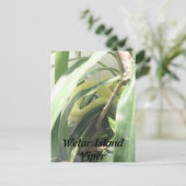 Wetar Island Viper Postkarte (Stehend Vorderseite)