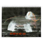 Wetdryvac.Net 2013 Kalender (Titelbild)